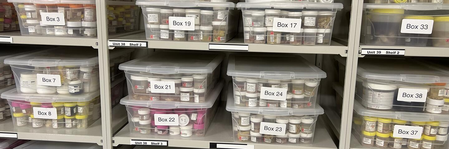 Shelves with boxes of specimens